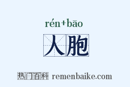 人胞是什么意思的图片
